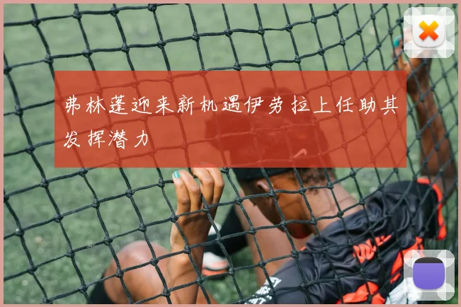 弗林蓬迎来新机遇伊劳拉上任助其发挥潜力